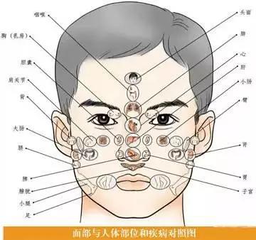 健康 正文  面部是人体各部位和疾病的全息缩影,人体的各个部位都不是