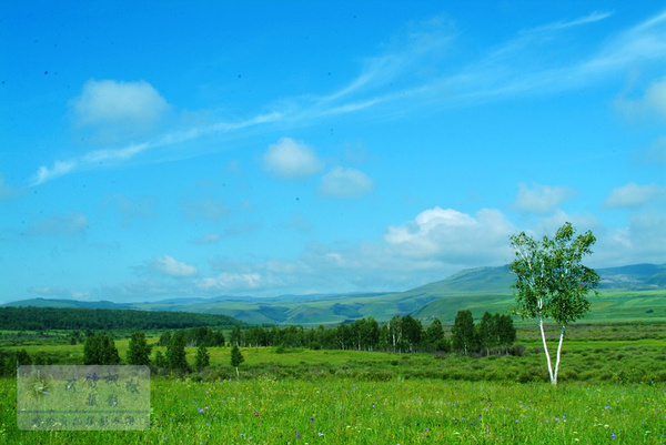 简谱带我去草原吧_带我去草原吧图片