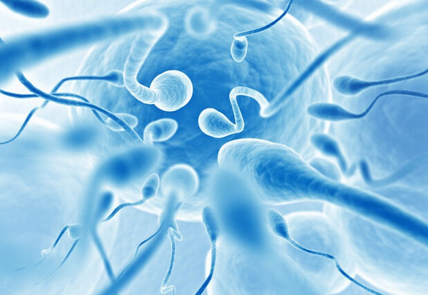 精子在体外能存活多久,多久为正常的?