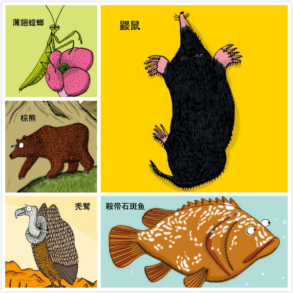 贝勒爷把大天鹅的盆友圈翻了个遍,秀恩爱的远不止这一条,隔三差五就凹着造型变着各种法子秀。 对大天鹅这种令人发指的虐狗行径,不被拉黑就算了,居然每条下面都有无数个赞!白颊长臂猿、海马、角雕、犬羚、沙狐简直点赞狂魔! 当然,也有如家鼠之类的跑到下面来唱衰。 辣么,这是为毛呢? 哪,大天鹅秀恩爱呢,是有道理的。它们是动物圈里出了名的恩爱夫妻,保持着一种稀有的终身伴侣制。在南方越冬时,不论是取食或休息,大天鹅都是成双成对的。在雌天鹅在产卵时,雄天鹅就在旁边守卫着。遇到敌害时,它拍打翅膀上前迎