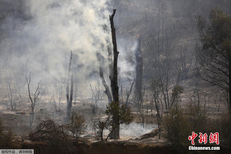 当地时间8月3日,美国加州多处因闪电引发的森林大火持续燃烧,继续威胁