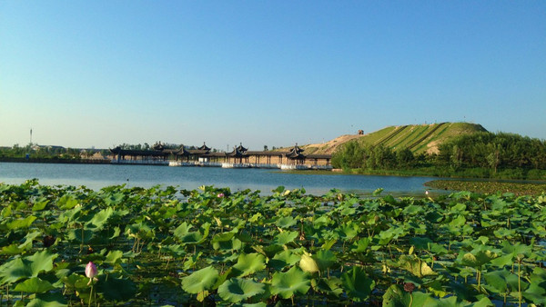 摄影阜宁金沙湖风景区