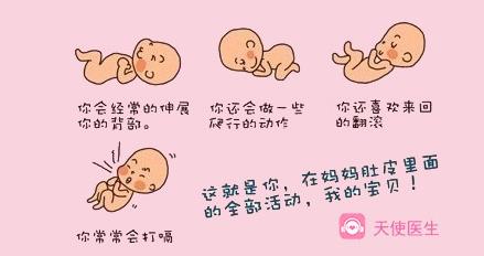 认识胎动,感知生命