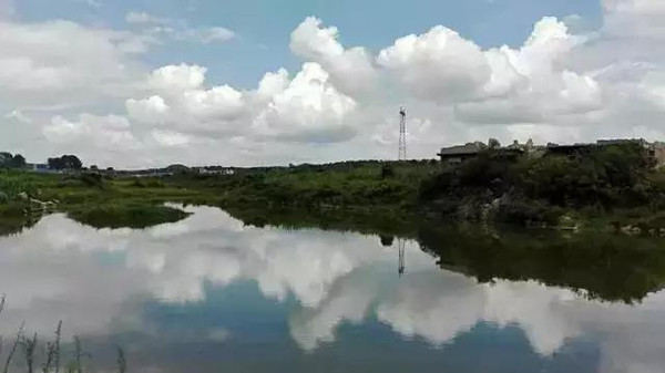 花溪总人口_花溪牛肉粉图片(2)