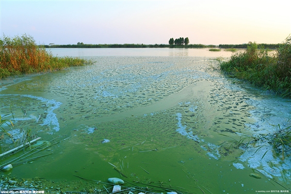 环评报告书-淮安市白马湖取水口自动监测站建设项目