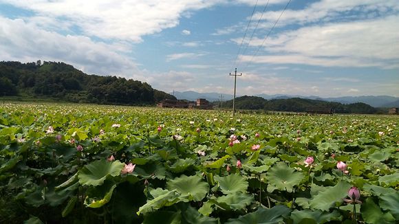 白田乡人口_贵溪白田乡姚威(2)