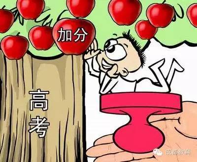 高考加分政策改动这么大！你知道多少？