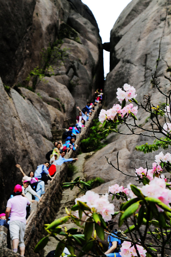 登黄山一线天