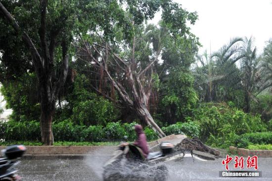 台风苏迪罗破福州单日最大雨量记录