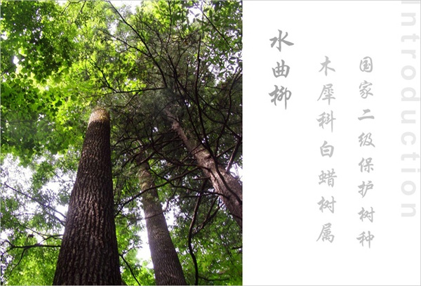 ʼ,,Ҿߵ,֮һ