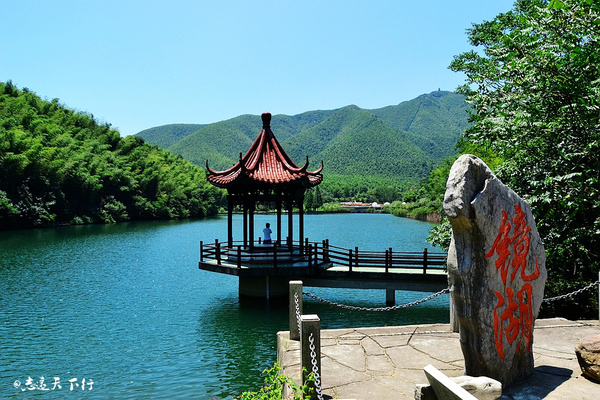 【深氧界的夏天】在宜兴竹海,读懂这杯茶.