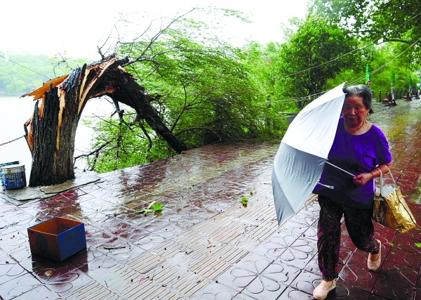 受台风"苏迪罗"影响,多地出现大风暴雨天气.ic 图