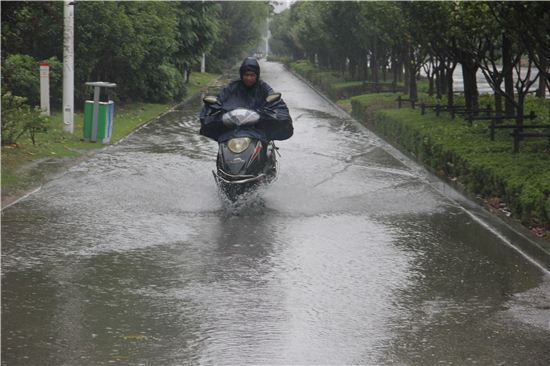 安庆:苏迪罗带来强降水,气象部门多举措