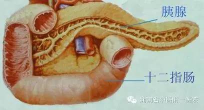 湖南省首例完全腹腔镜胰十二指肠切除术在湖南中医附一顺