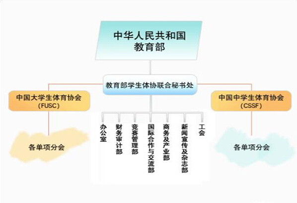 人口社会学形成性考核_枣强组织收听收看全省实施乡村振兴战略推进会