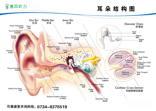 衡阳惠耳听力提醒:夏季游泳需警惕突发性耳聋