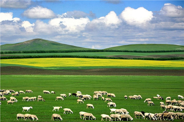 合肥到内蒙古旅游旅行社