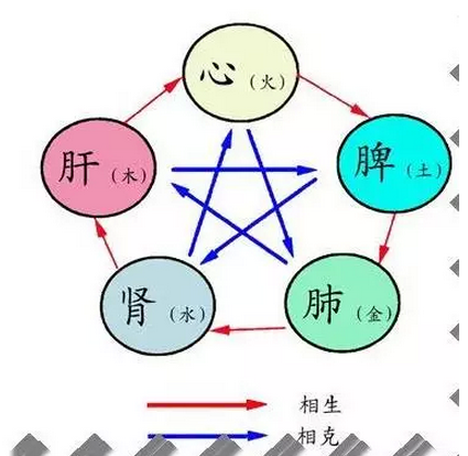 辣木的最新功效效果，辣木籽家庭的最好伴侣-搜狐