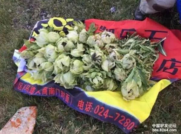 8月11日,新疆户外俱乐部驴友通过与内地户外团队合作,查询到“红发”所带的团队是一个AA制结伴的团队,成员共有31人,分别来自十多个省市区。