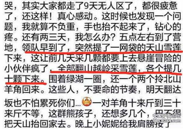 驴友在新疆天山非法采摘雪莲惹众怒 目前警方已介入调查