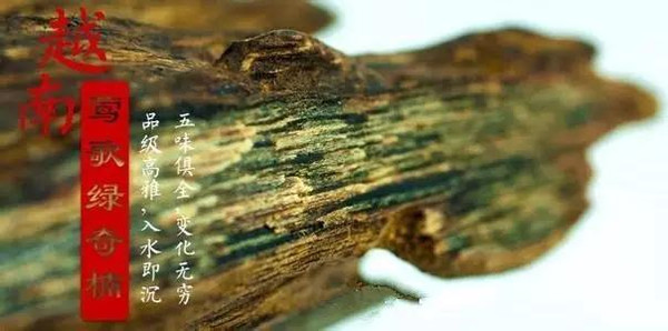 奇楠沉香是指沉香中最优秀的沉香,或者是某些含有高价值油脂的植物
