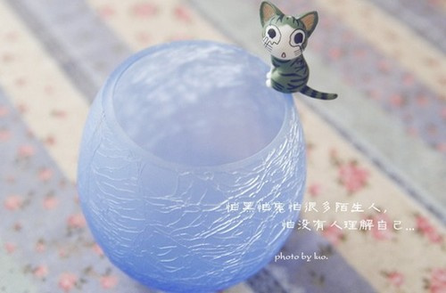 【暖心插画】卡哇伊的起司猫