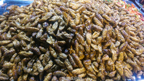 【柬埔寨】吴哥窟的微笑|舌尖上的蟑螂大餐