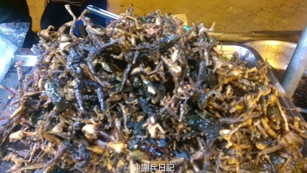 【柬埔寨】吴哥窟的微笑|舌尖上的蟑螂大餐