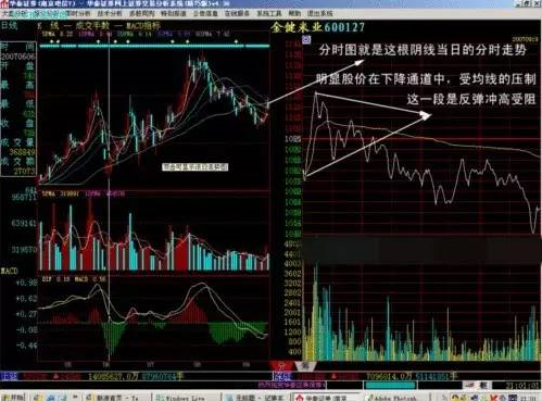 邮币卡电子盘-教你如何分析大盘分时走势图 !