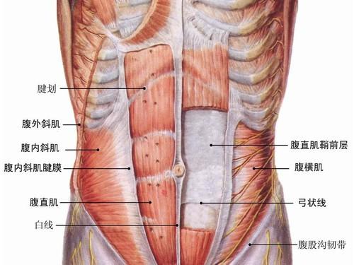 宁泽涛持续刷屏,告诉你关于小鲜肉的八块腹肌