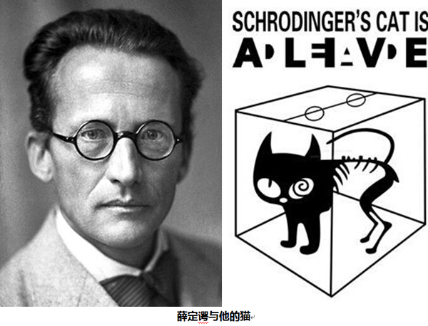 从薛定谔的猫看量子力学起源-搜狐教育