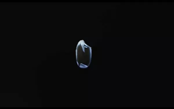 һϵͶӰ
