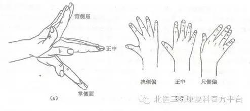 第三节:腕关节牵伸运动