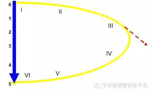 手功能康复--肌力和肌张力的平衡