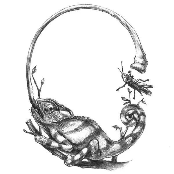 素描二十六个英文字母设计