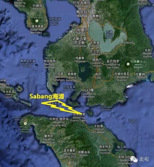 菲律宾pg岛(海豚湾)潜水交通攻略