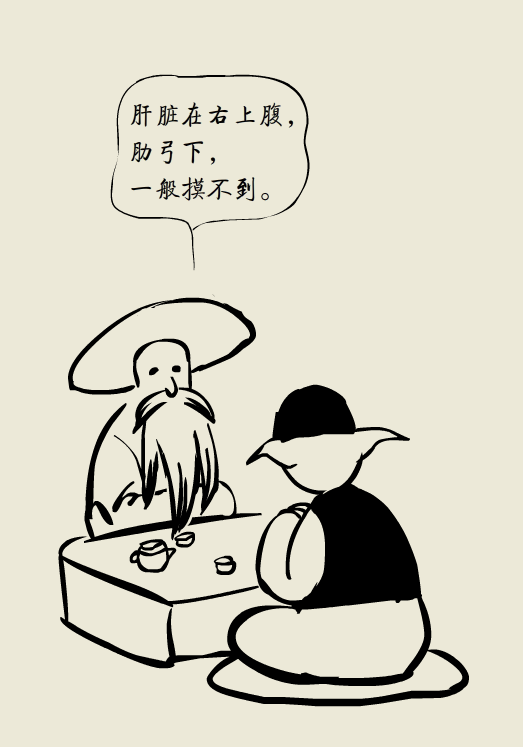 小大夫漫画肝脏在哪儿