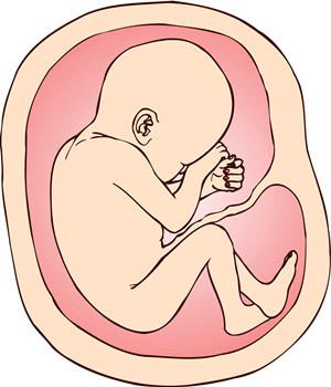 孕妇熟睡有利于胎儿发育