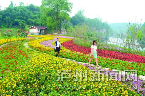 龙桥百花洲鲜花园