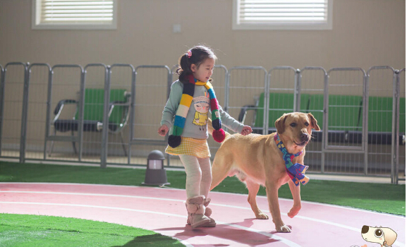 【组图】神犬小七第15/16集共45集分集剧情剧情简介 神犬小七纪(组图)