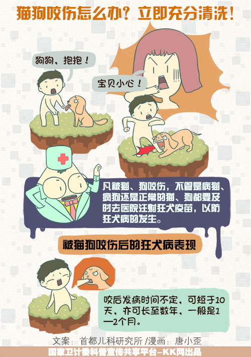 猫狗咬伤怎么办?立即充分清洗!