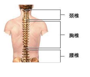 脊柱结核的常见护理措施