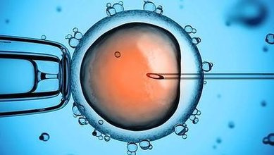 解冻后的胚胎移植是否对胎儿造成影响-搜狐母婴