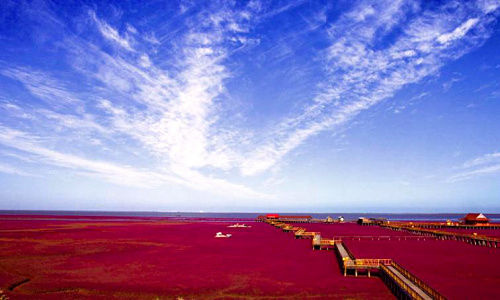 红海滩国家风景廊道在哪 沈阳到红海滩廊道一日游