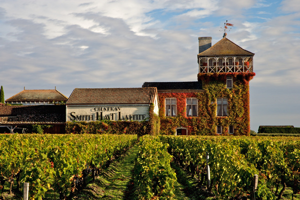 法国葡萄酒庄园的休闲之旅