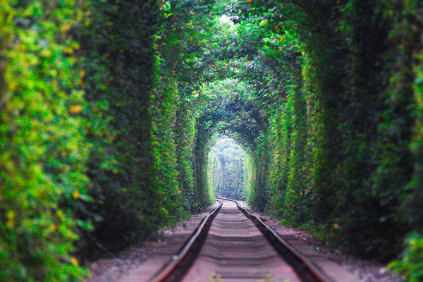 七夕,假装在乌克兰,走过爱的隧道。
