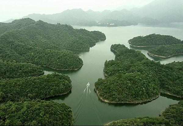 安徽宣城宁国青龙湾水库-筏翘嘴鲌