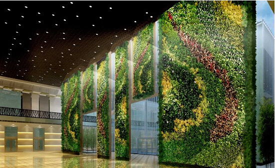 推荐专业的垂直立体绿化植物墙的技术学习网站