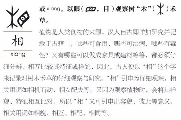 简谱海誓_你曾对天发过誓简谱(2)