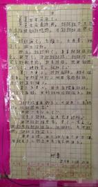 广传于网络的作文《泪》。